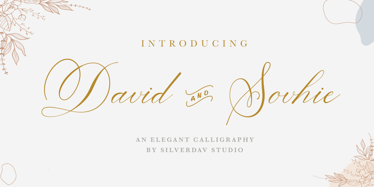 David And Sovhie Regular Font preview